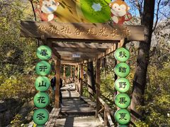 -大岭沟猕猴桃谷风景区