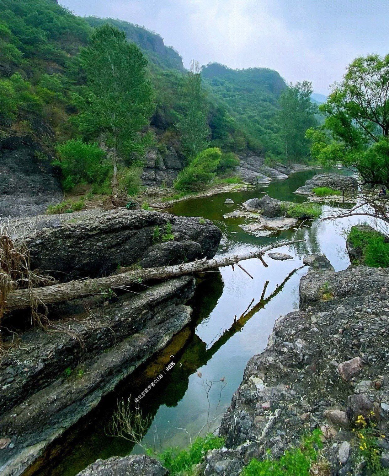 翠鸟谷避暑胜地