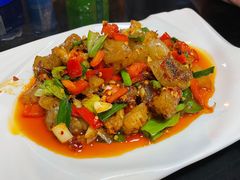 炒牛筋-湖南文氏湘菜馆(顺河高架路店)
