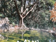 -湖泉半山温泉