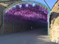 -桑干河大峡谷旅游区