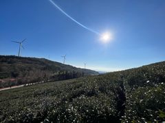 -东白山