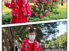 -晓港公园