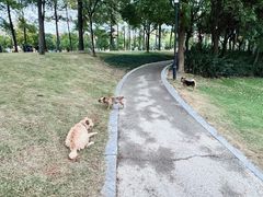 -美兰湖景区
