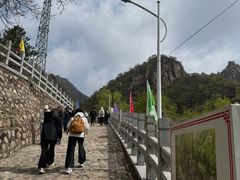 -大岭沟猕猴桃谷风景区