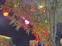 -特克斯八卦城