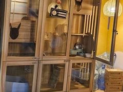 -白兔子密室(长寿路店)