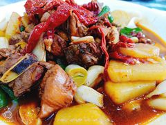 新疆大盘鸡-新疆巴州金丝特餐厅(大钟寺店)