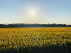 -嘉北郊野公园