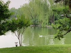 -钓鱼台国宾馆