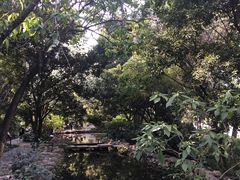 -成都市活水公园