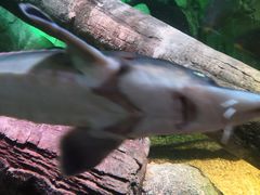 -沈阳海洋探索中心