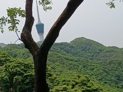 -梧桐山风景名胜区