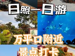 -渡海小渔村.老辈日照菜