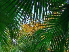 -韶关经律论国际酒店温泉