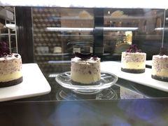 -Torch Coffee 炬点咖啡