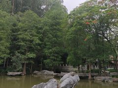 -顺峰山公园