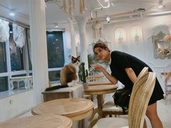 大堂-共舞时光猫咖·狗咖(新街口店)