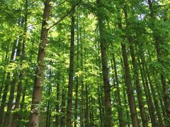 -南京金牛湖风景区