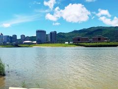 -芒洲湿地公园
