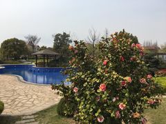 -南通鹏欣花园国宾酒店