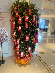 -琅悦月子会所(香格里拉旗舰店)