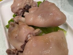 -丁老爷子苏香圆