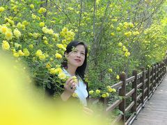 -小绿谷公园