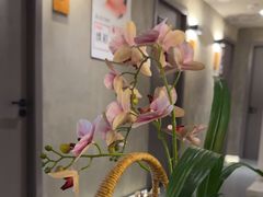 -施奈儿.洗头頭療.按摩SPA.采耳(上梅林店)