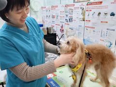 -芭比堂动物医院(广州爱宠下渡路分院)