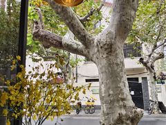 -Apollo·西班牙小酒馆(安福路店)