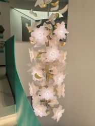 -水女人科技美肤·LDM·超清秀