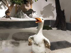 -小天鹅戴斯酒店鲸鲨百汇创作料理