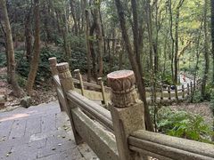 -普陀山慧济禅寺