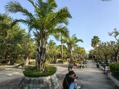 -亚龙湾站