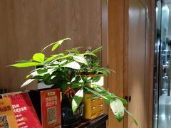 -聆耳·采耳·按摩·SPA(会展中心店)