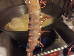 -鲜入围煮花胶鸡海鲜火锅