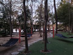 -东湖落雁景区