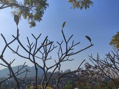 -白石龙音乐公园