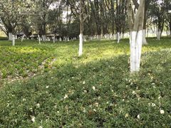 -范蠡湖公园