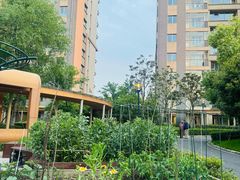 -梧桐人家中国太平国际健康颐养社区