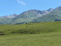 -新疆那拉提国家旅游度假区