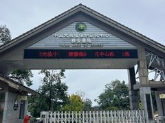 -中国大熊猫保护研究中心雅安碧峰峡基地
