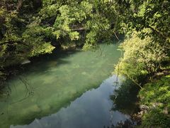 -石台牯牛降景区