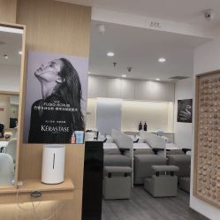 -THE LOG SALON 记录