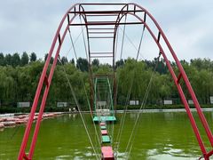 -东方巨龟苑景区