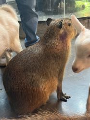 -Zoolung Zoolung动物主题公园(海信广场店)