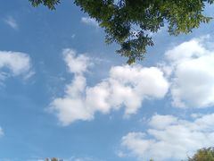 -上海月湖雕塑公园