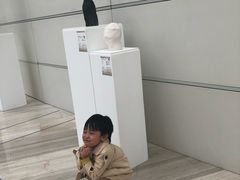 -凤凰中心