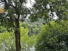 -白马涧龙池景区